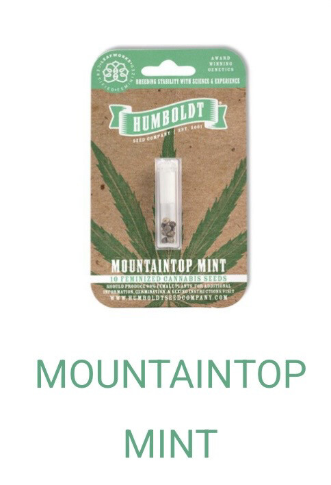 Mountaintop Mint- Humboldt Seeds