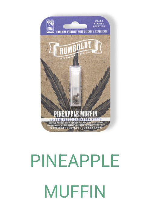 Pineapple Muffin- Humboldt Seeds