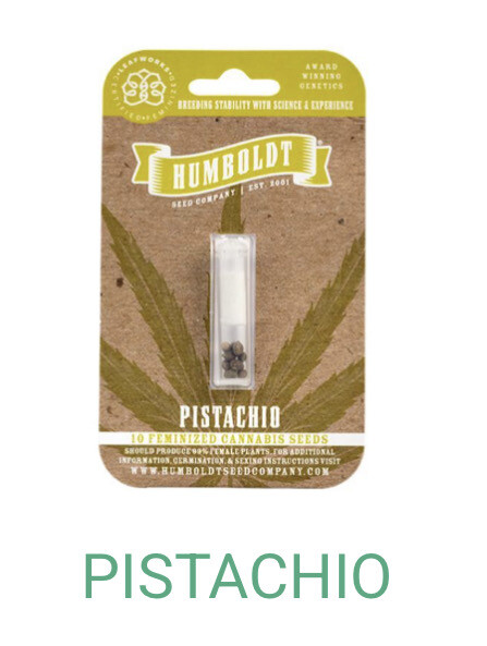 Pistachio- Humboldt Seeds