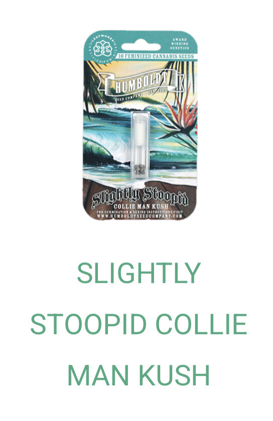 Slightly Stoopid Collie Man Kush- Humboldt Seeds