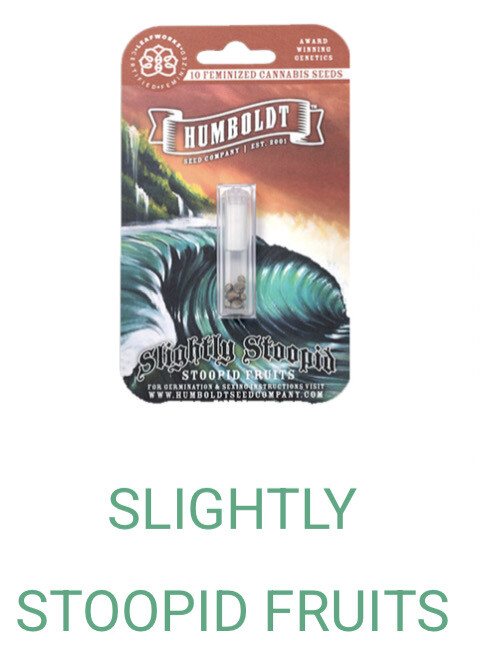 Slightly Stoopid Stoopid Fruits- Humboldt Seeds