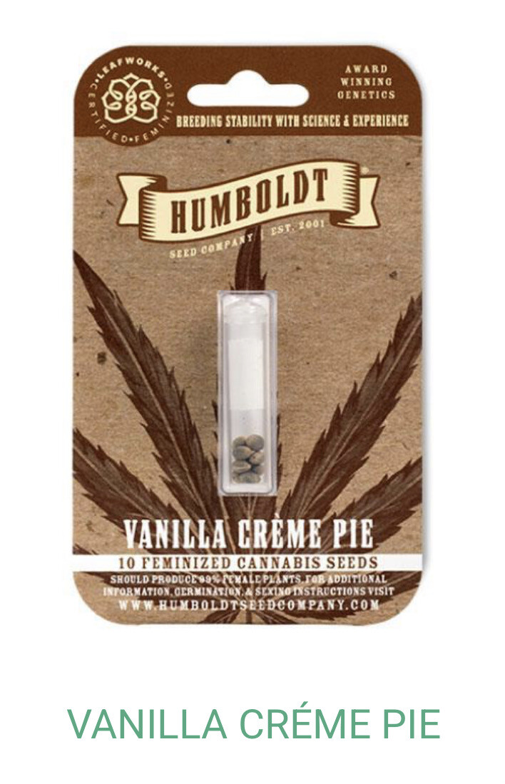 Vanilla Créme Pie- Humboldt Seeds