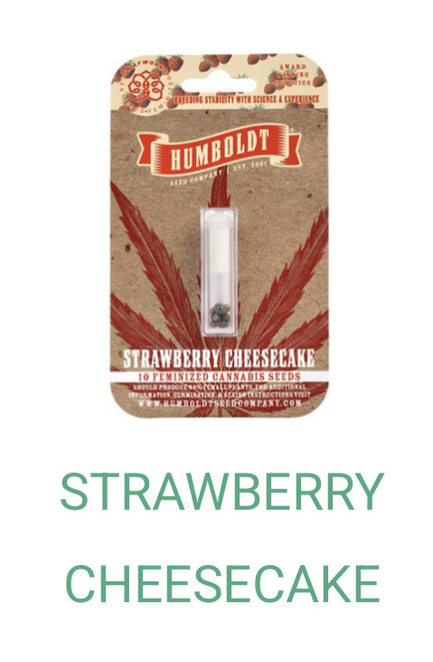 Strawberry Cheesecake- Humboldt Seeds