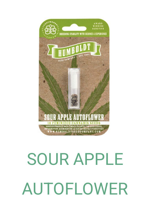 Sour Apple- Humboldt Seeds
