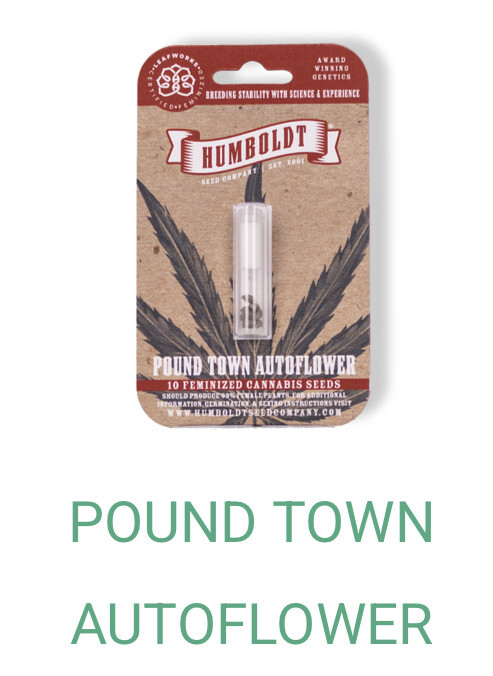 Pound Town- Humboldt Seeds