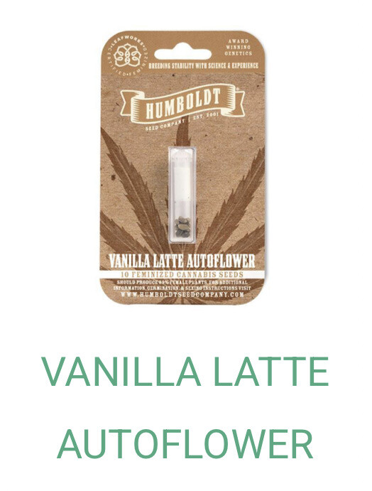 Vanilla Latte- Humboldt Seeds
