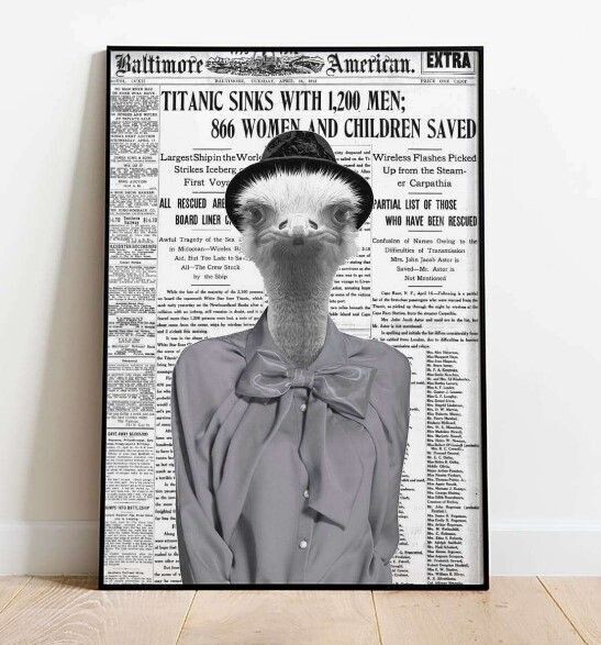 Newspaper Animal Poster - Ostrich