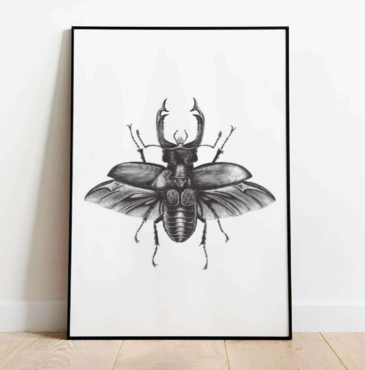 Animal Poster - Beetle