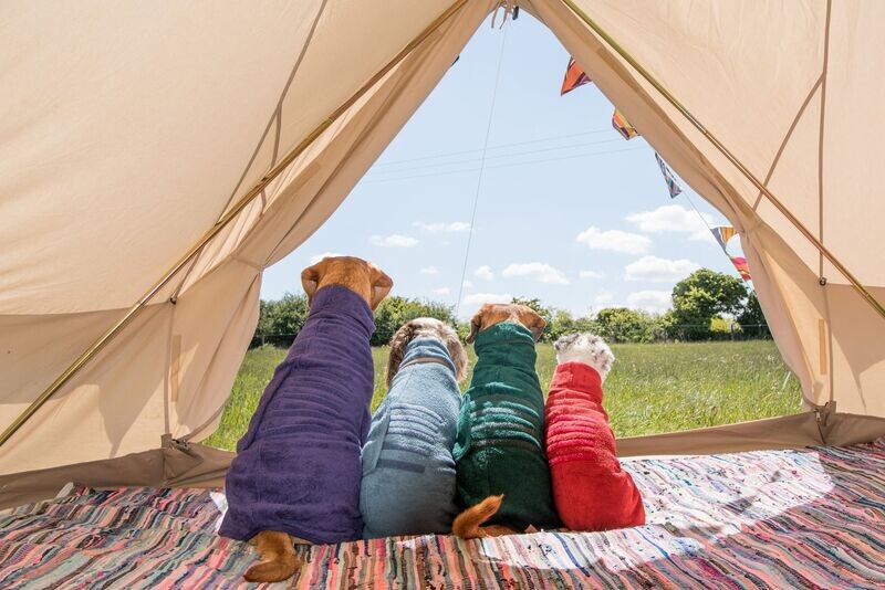 Ruff and Tumble Classic Drying Coat