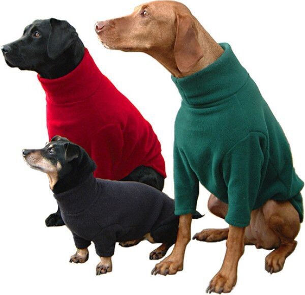 Hotter Dog Jumper