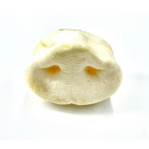 ANCO Puffed Pig Snouts
