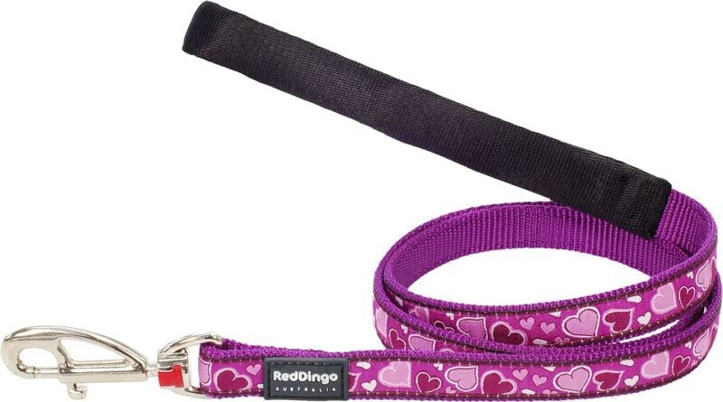 Red Dingo Breezy Love Purple Lead