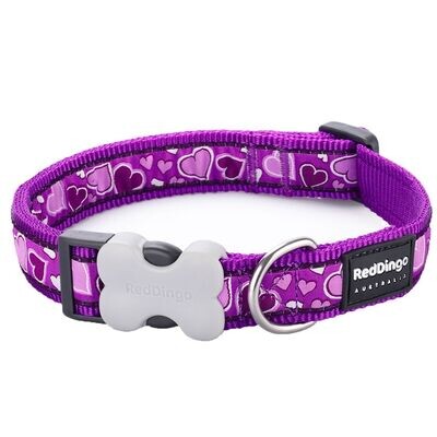 Red Dingo Breezy Love Purple Collar