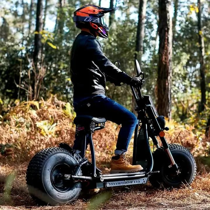Motocicleta eléctrica Cruiser para adulto, Scooter de alta velocidad, neumático ancho, 1000w, 3000w