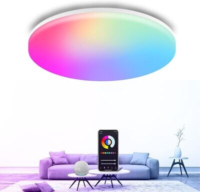 Smart LED Deckenlampe, 24W 2400LM RGB Deckenleuchte Dimmbar 2700K-6500K, Kompatibel mit Alexa & Google, Farbwechsel Flach Schlafzimmer Lampe für Wohnzimmer, Schlafzimmer, Kinderzimmer