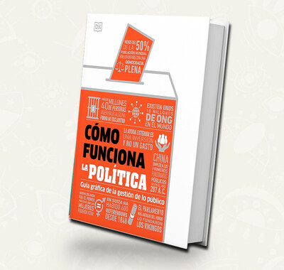 Como funciona la politica 