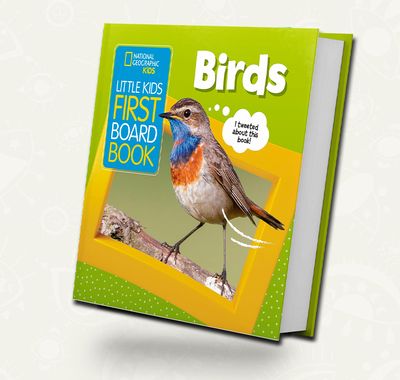 National Geographic | Little Kids First Board Book: Birds