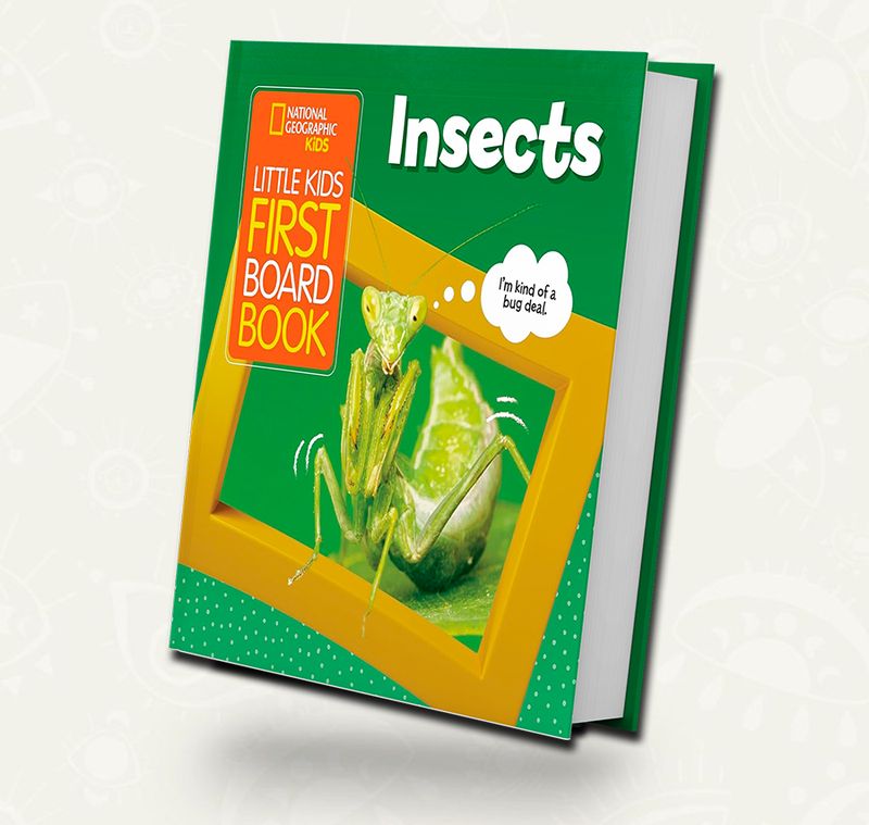 National Geographic | Little Kids First Board Book: Insects