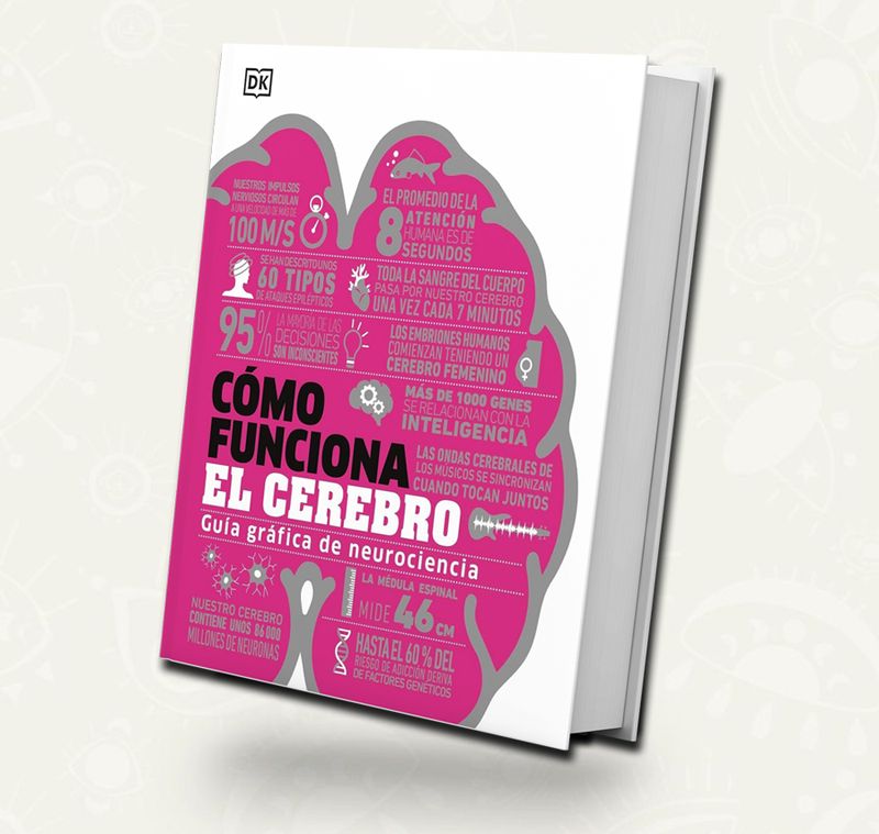Como funciona el cerebro | DK Como funciona el cerebro | DK