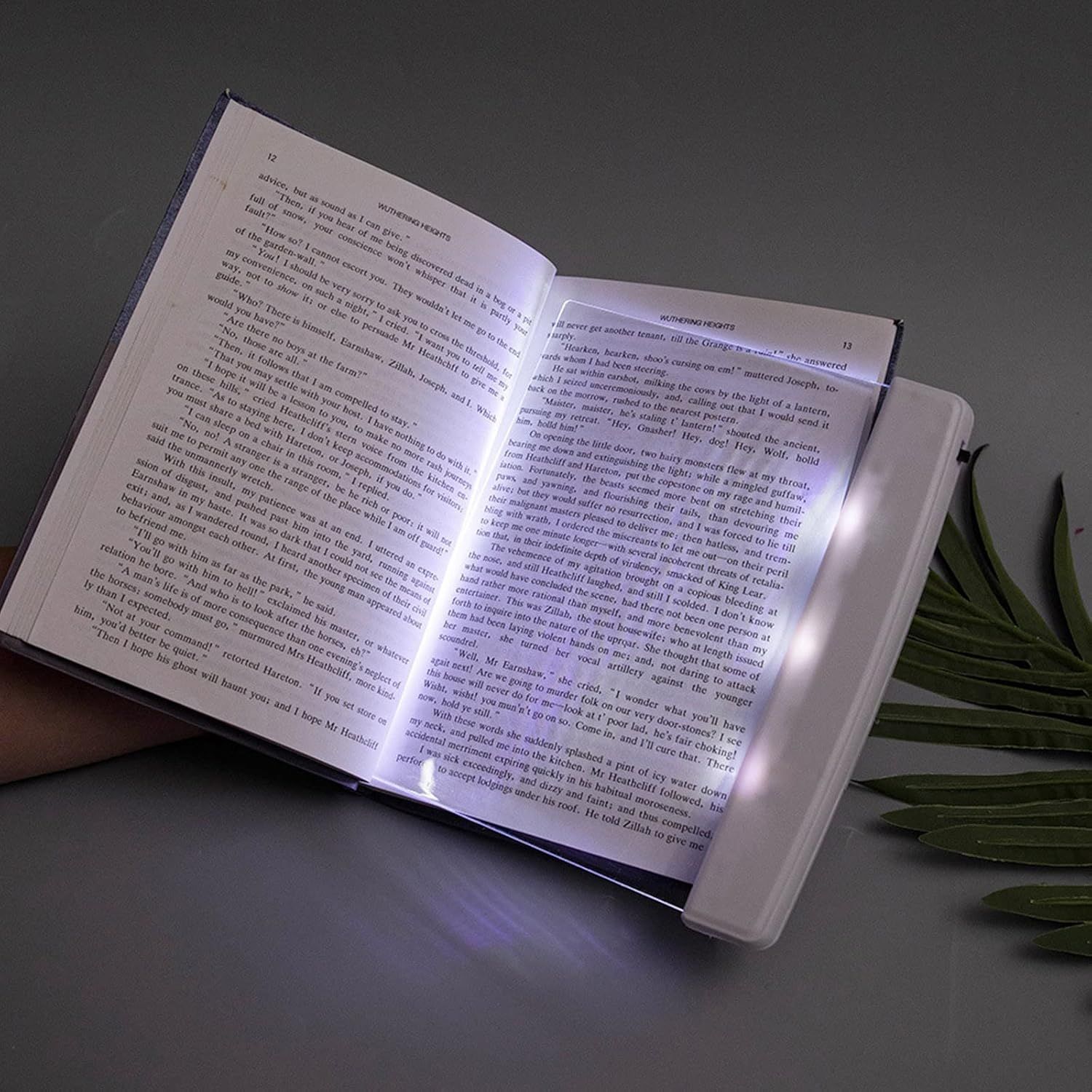Luz plana para leer | lampara