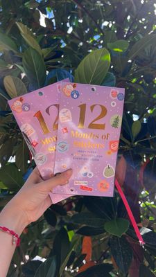 Libro de Stickers | Año de Planificacion | Dañada