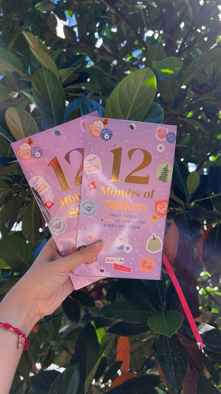 Libro de Stickers | Año de Planificacion | Dañada