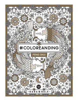 Coloreanding | Feng Shui