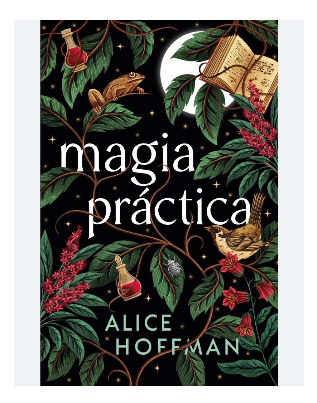 Magia practica | Alice Hoffman