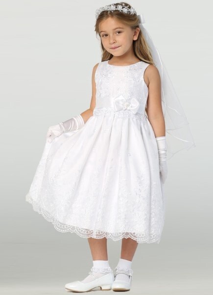 Embroidered Organza