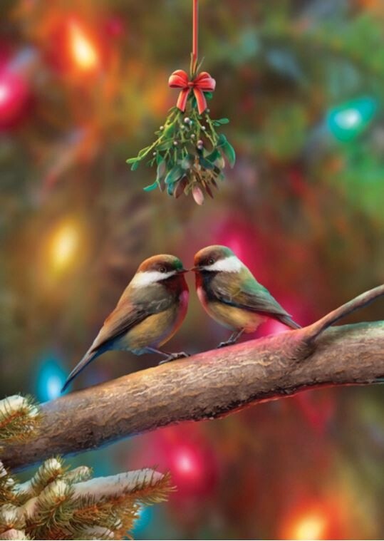 Christmas Kiss Christmas Cards