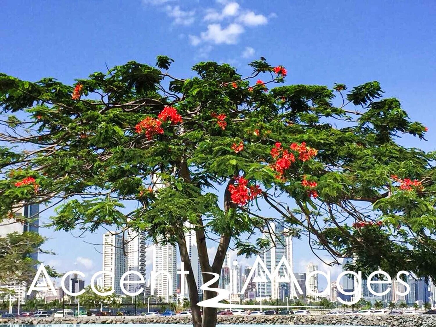 144.Panama City -Panama