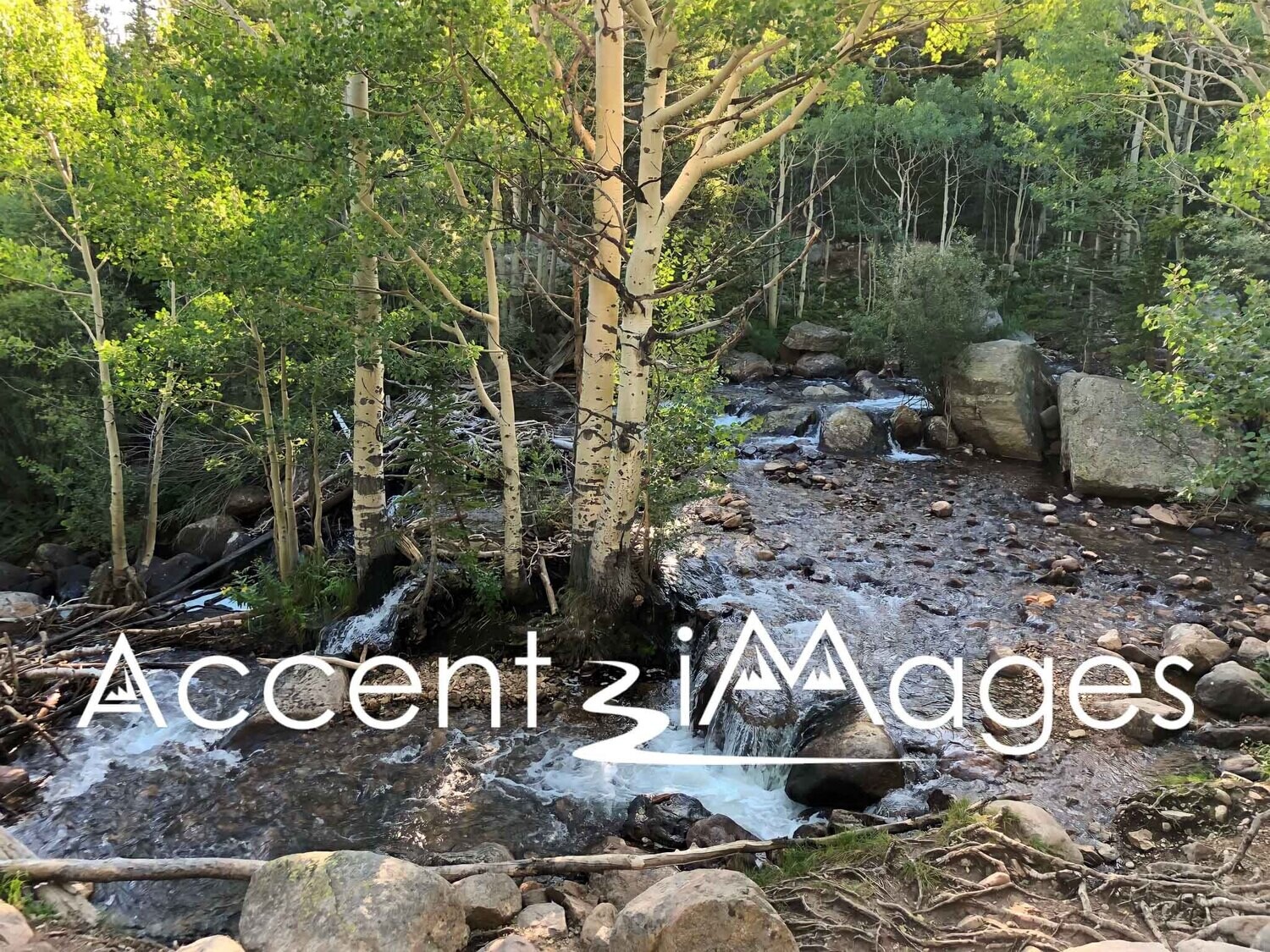 149.Alberta Falls -Rocky Mountain National Park