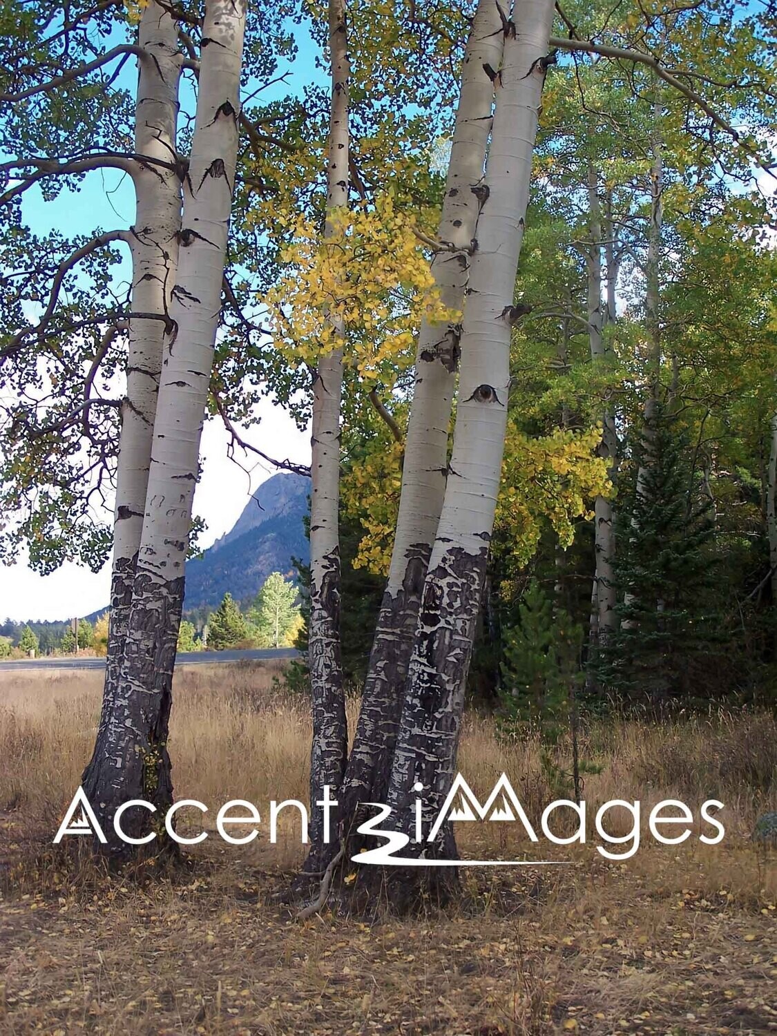 166.Sheep Meadow -Rocky Mountain Natl Park