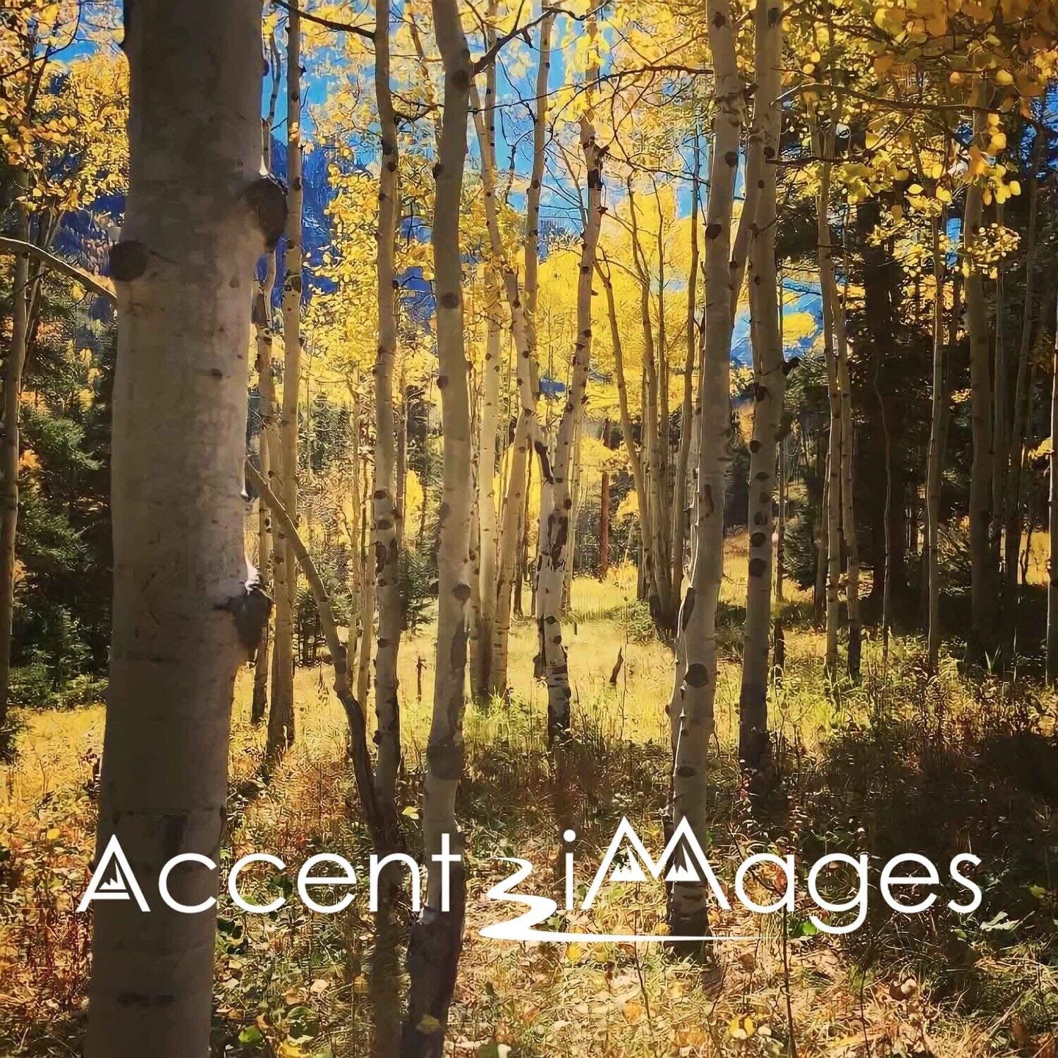 165.Sheep Meadow -Rocky Mountain Natl Park