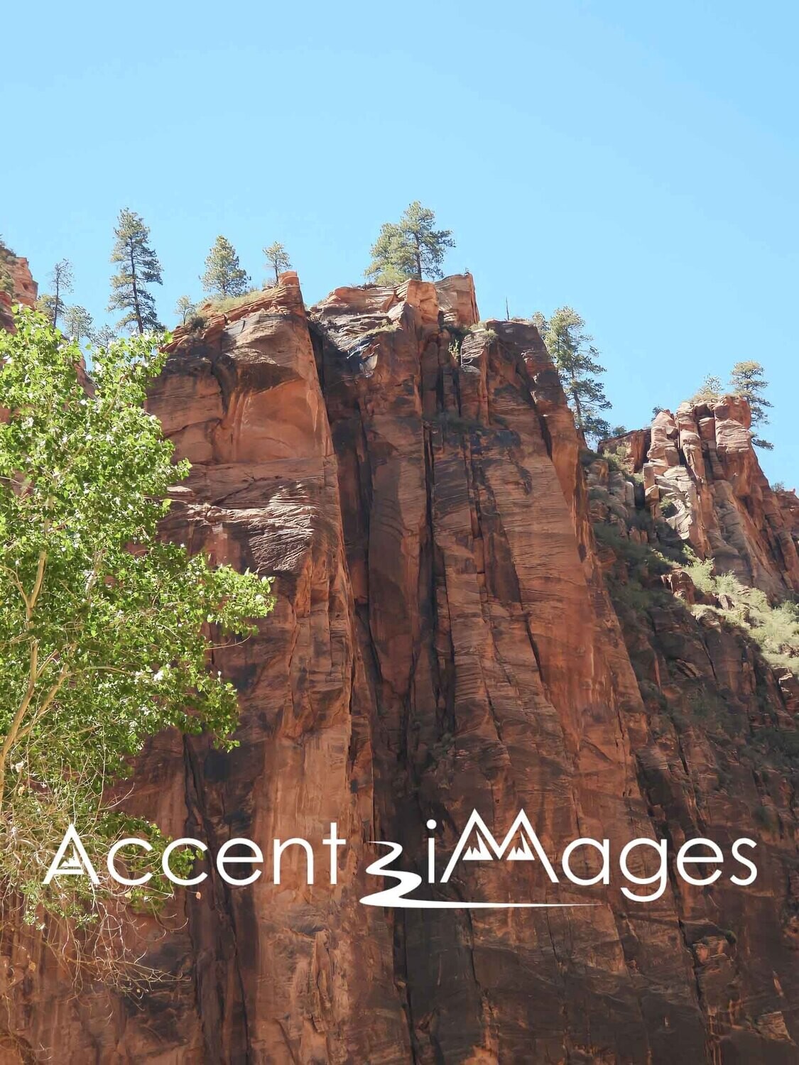 182.Towering Red Rocks-Zion National Park, Utah