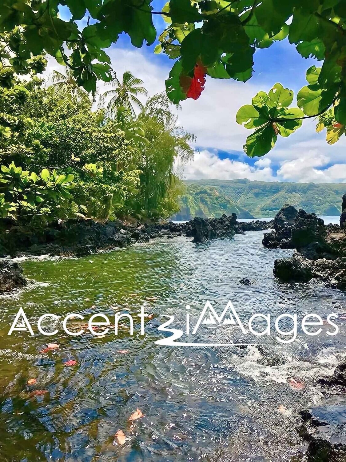 186.Limon Coastline-Costa Rica