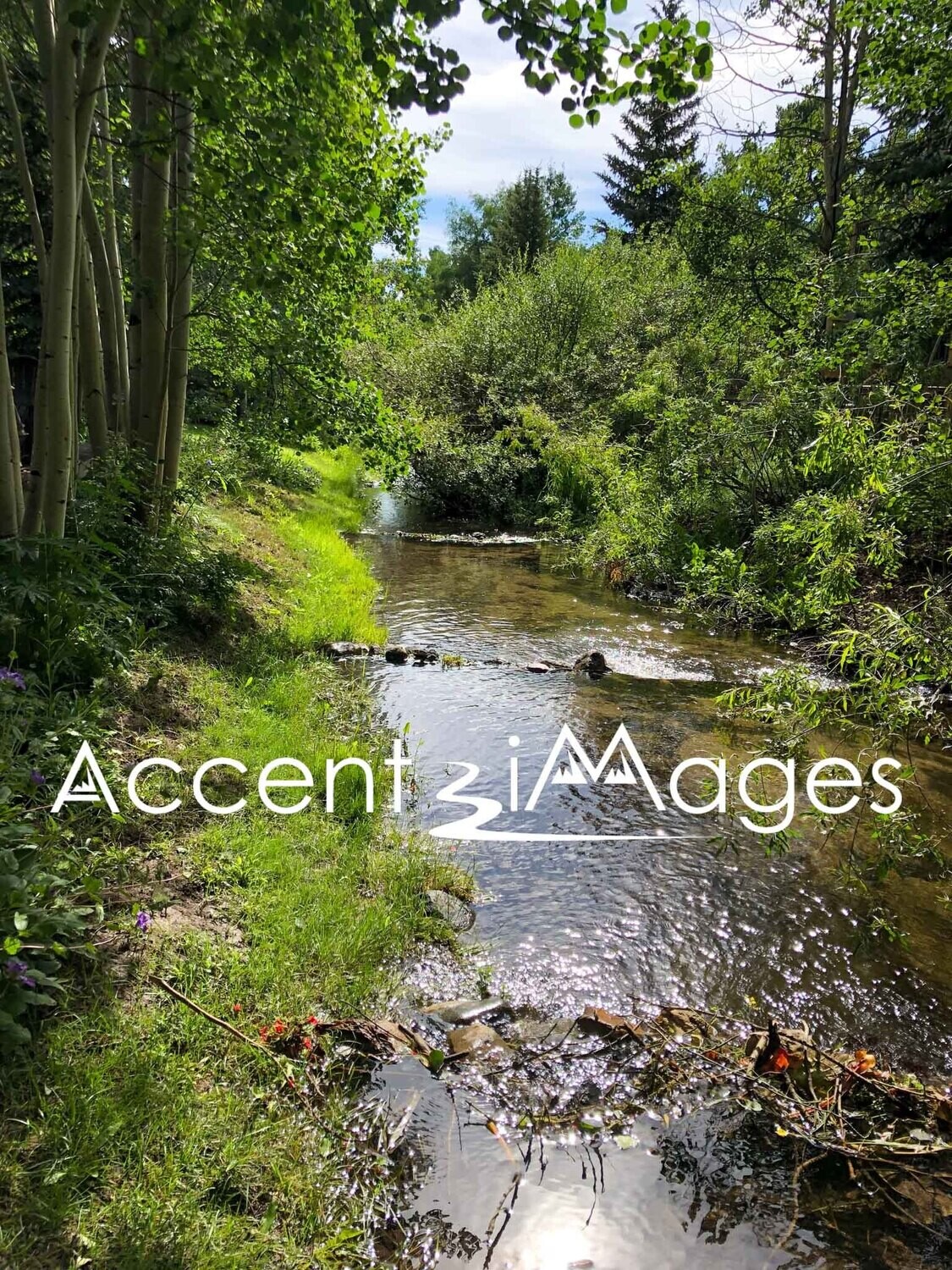 218.Lazy Mountain Stream-Frisco CO