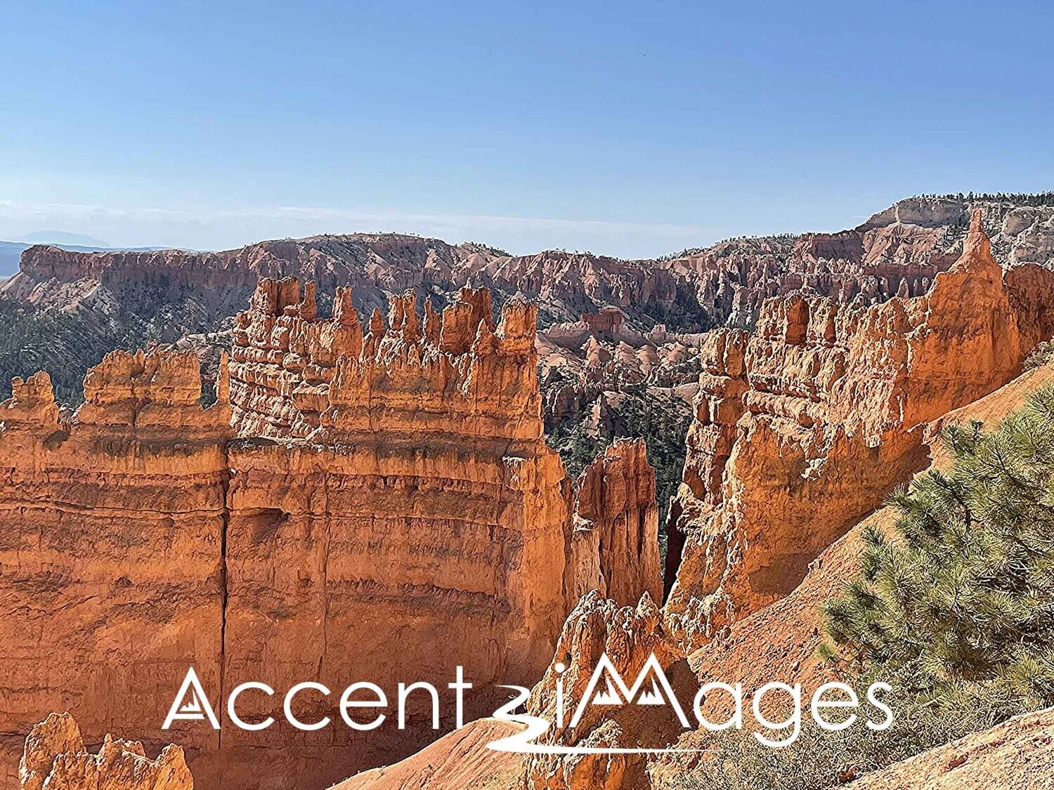 236.Hoodoos at Bryce Canyon National Park