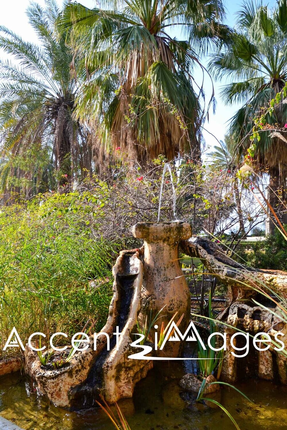 291.Israel-Beautides in Galilee