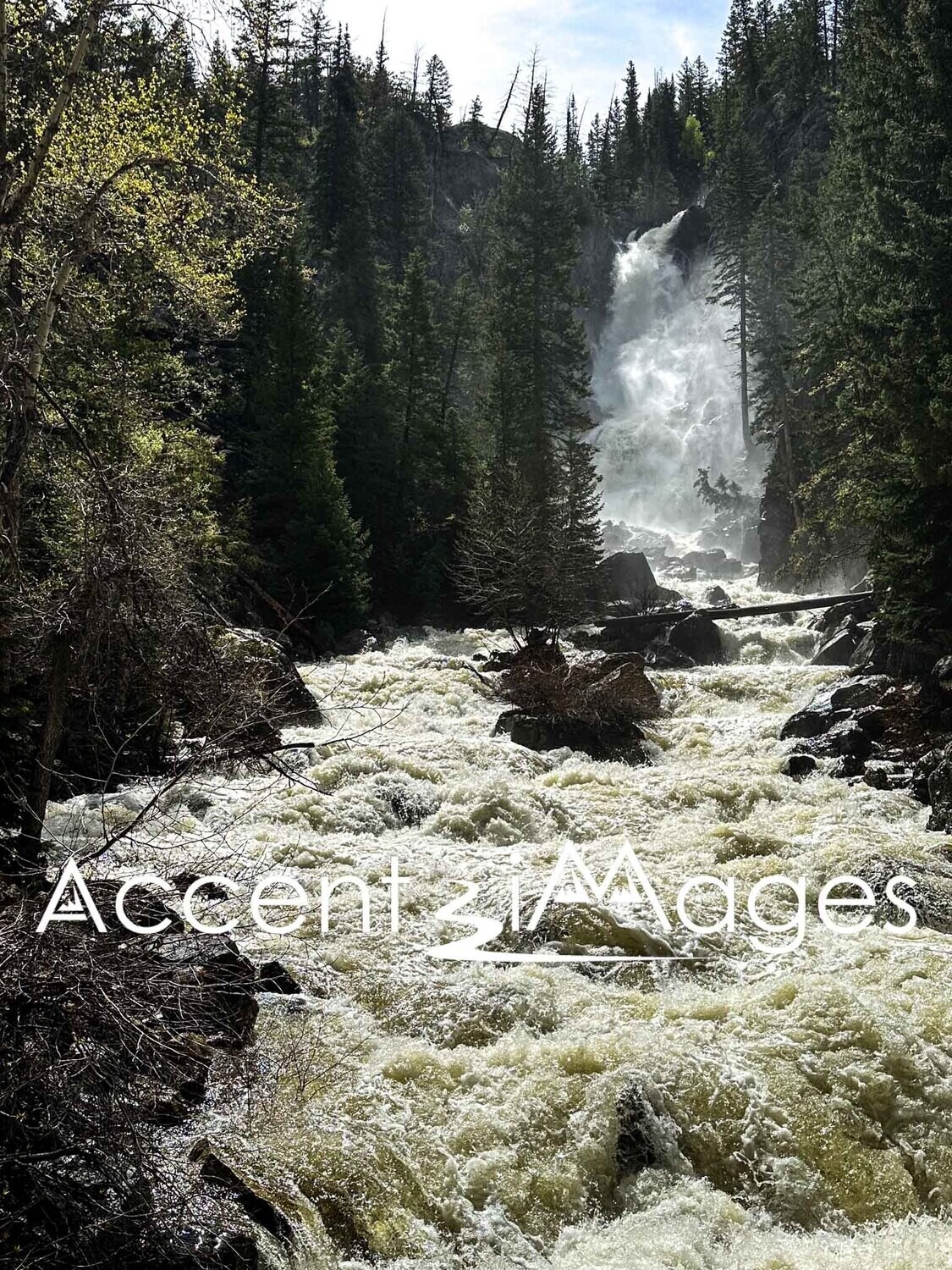 379.Lower Fish Creek Falls-Steamboat CO