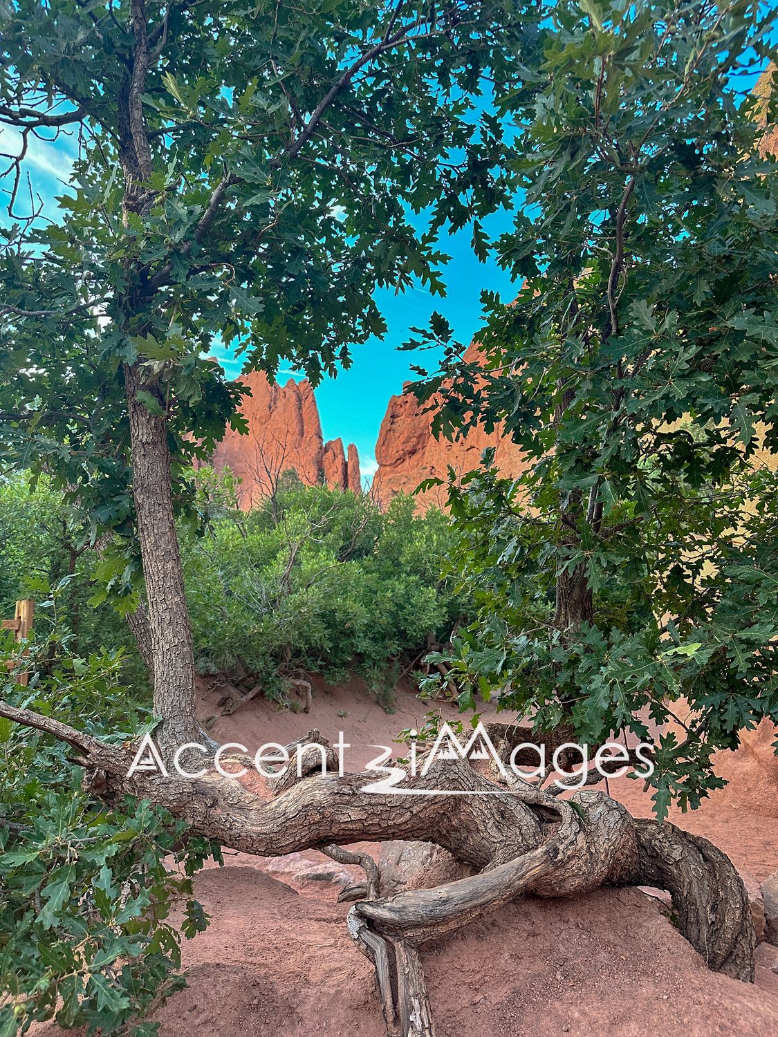 136.Garden of the Gods -Colorado Springs