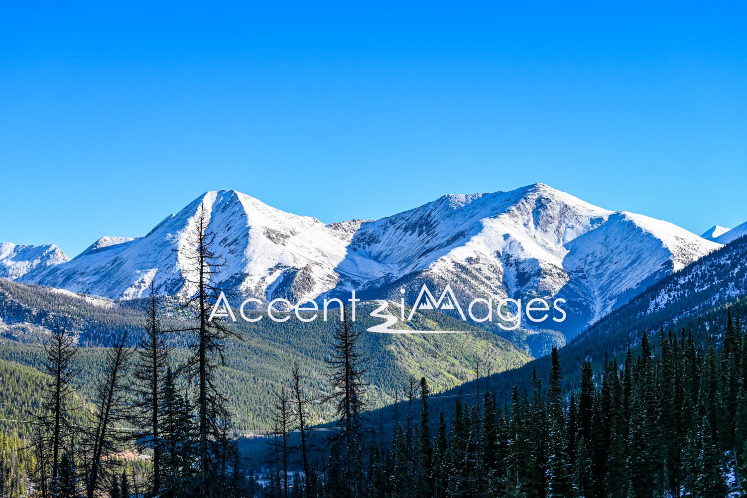 229.Snow Covered Peaks on Monarch Pass CO
