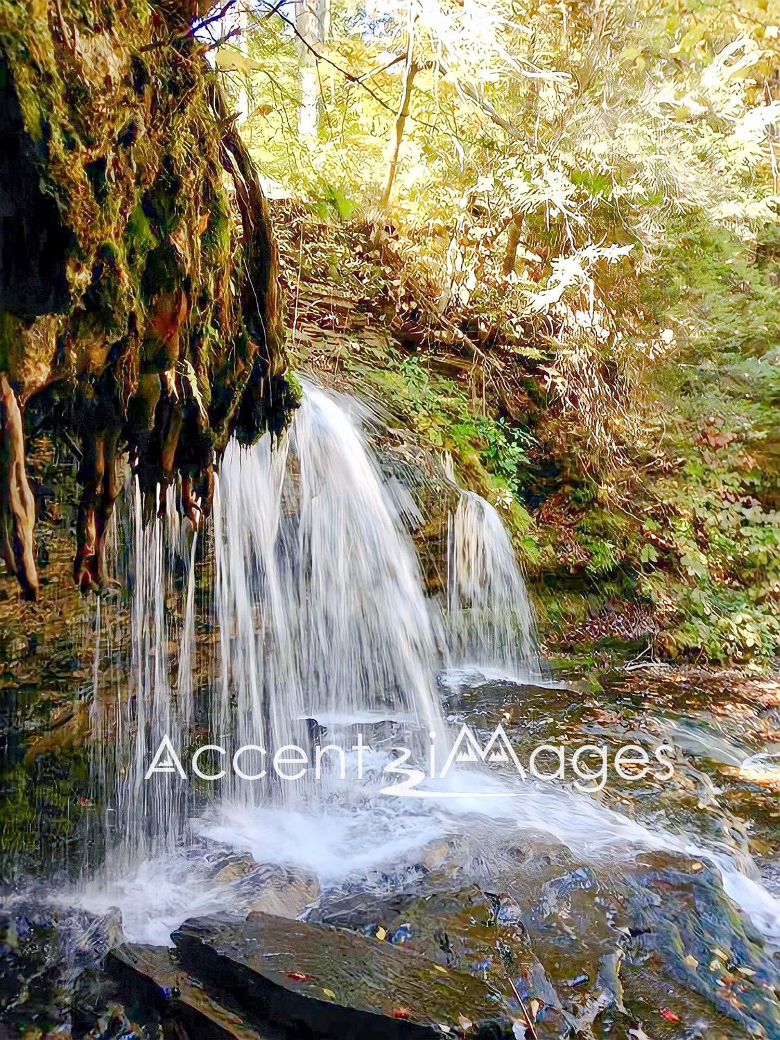 157.Rocky Mountain National Park Falls