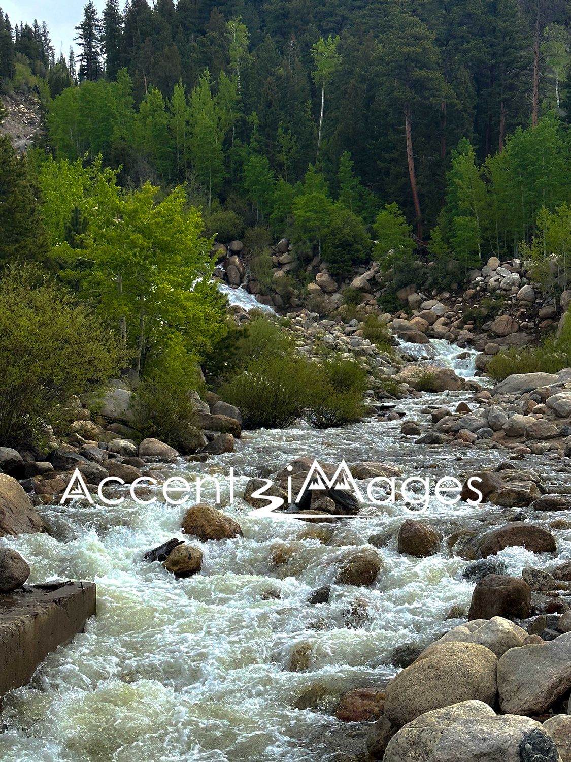 181.The Alluvial Fan -Rocky Mountain Natl Park