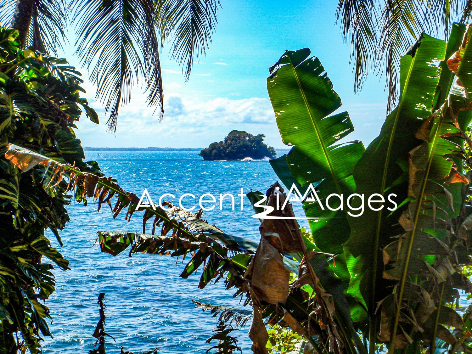 309.Limon -Costa Rica