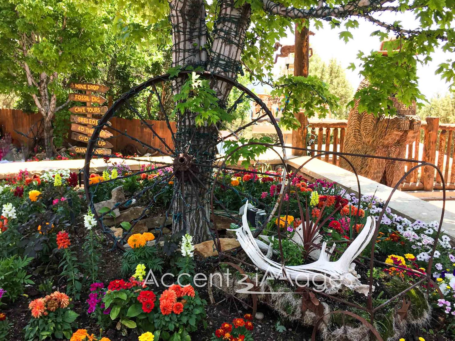 184.Floral Garden-Glenwood Springs CO
