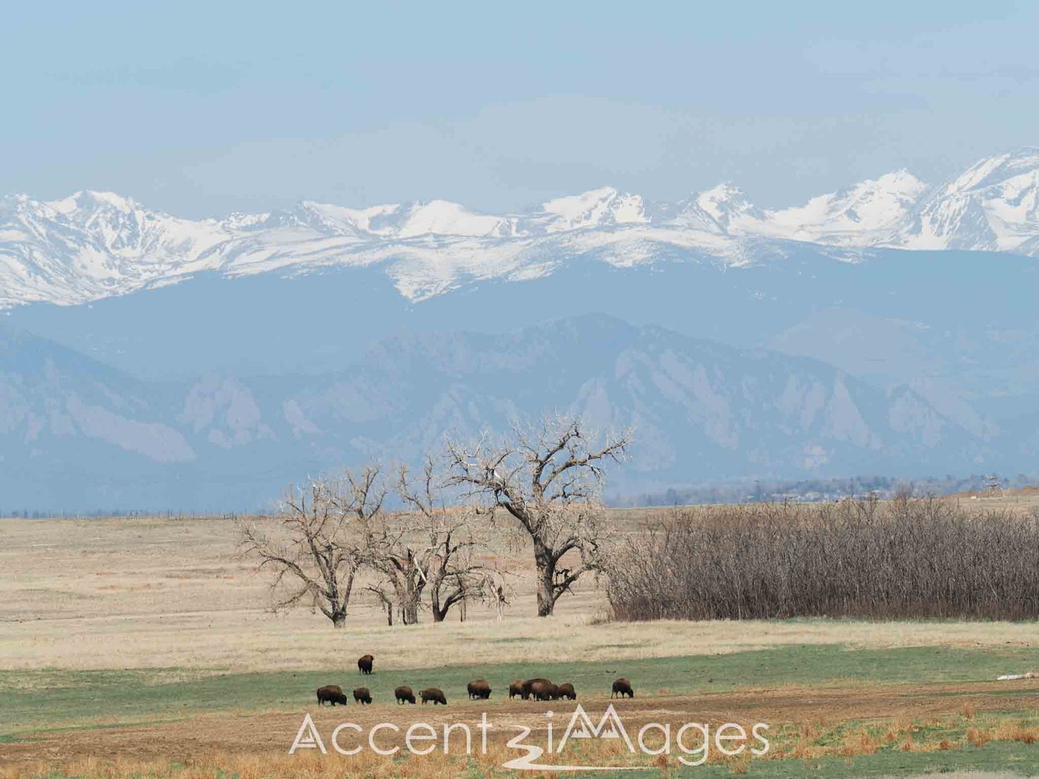 232.Front Range Mountains-Rocky Mountain Arsenal