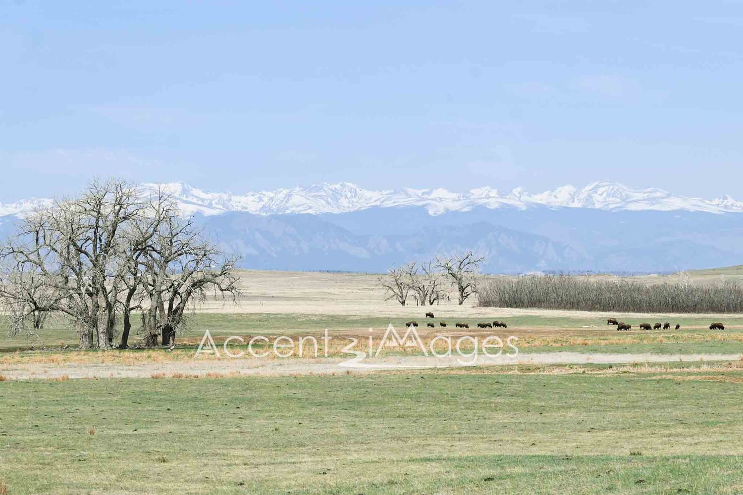 231.Front Range Mountains-Rocky Mountain Arsenal