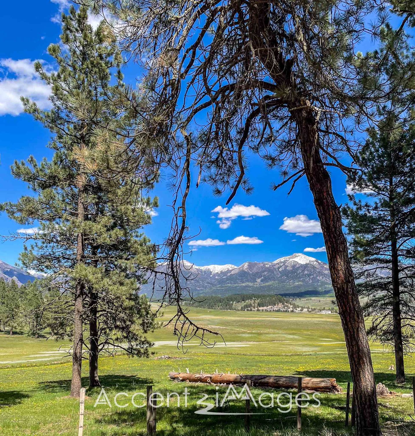 242.Late Summer at San Isabel CO