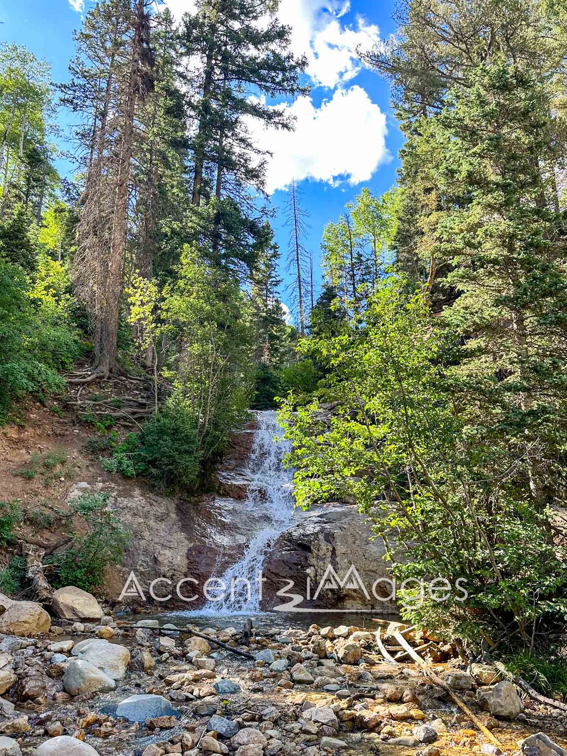 277.Lil Niagra-La Plata Mountains